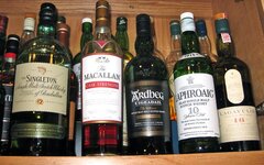 scotch 2010a.jpg