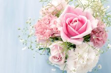 2018Nature___Flowers_Bouquet_with_roses_and_pink_peonies_on_a_blue_background_130092_.jpg