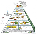 Harvard_food_pyramid.png