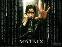 rinity-from-The-Matrix-the-matrix-2282236-1024-768.jpg