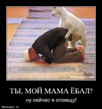 ty-moj-mama-yobal_8309_demotivatorz.ru.jpg