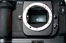 Nikon F100 4.jpg