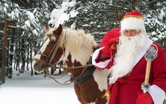 Дед Мороз на лошади.jpg