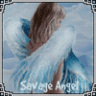 Angel-1412