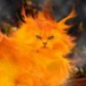 FireCAT