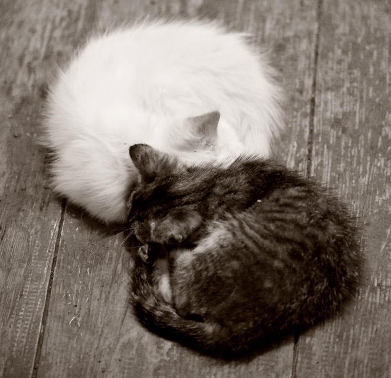 attachment.php