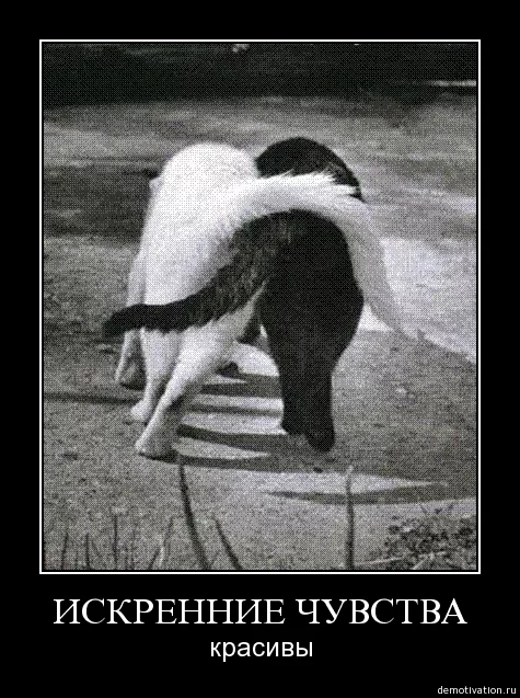 attachment.php