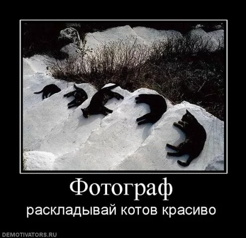 attachment.php