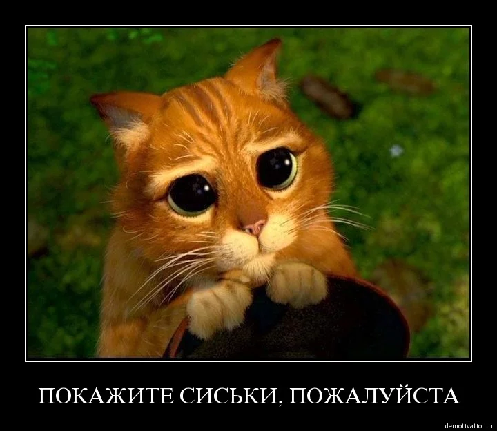 attachment.php