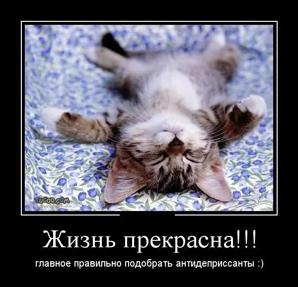 attachment.php