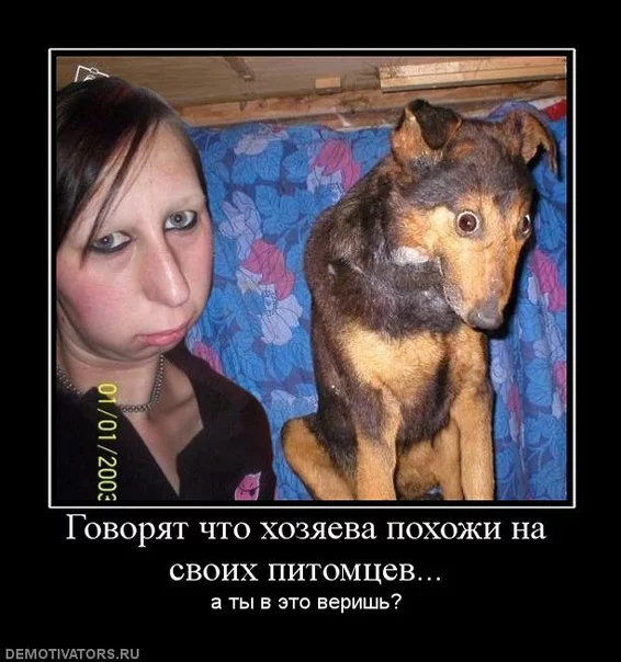 attachment.php