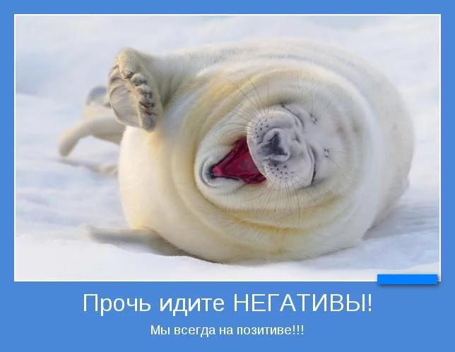 attachment.php