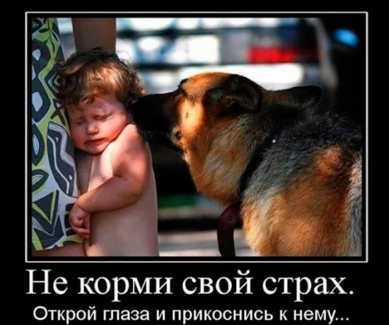 attachment.php