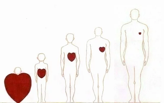 attachment.php