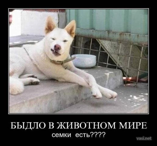 attachment.php