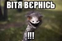 0%B2%D1%94%D1%80%D0%BD%D1%96%D1%81%D1%8C&text2=!!!.webp