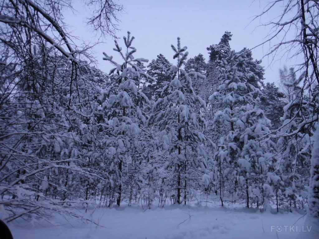 000043802674_%23_3_%23_Eduardiks.webp