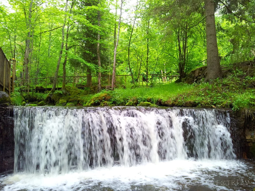 000043806138_%23_3_%23_Eduardiks.webp