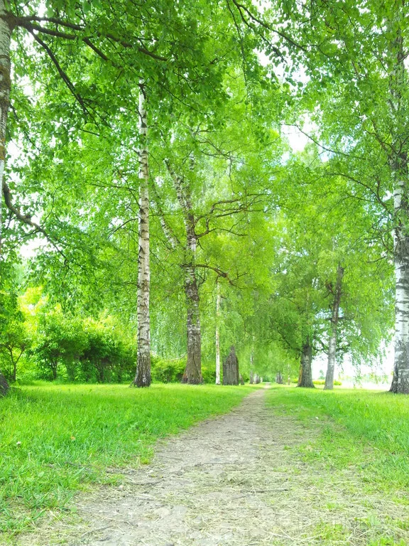 000043806168_%23_3_%23_Eduardiks.webp