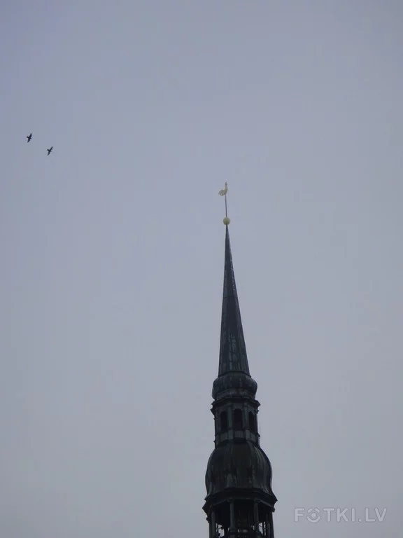 000043871403_%23_3_%23_Eduardiks.webp