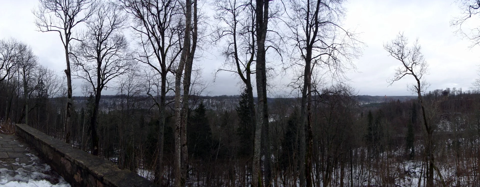 000043884202_%23_3_%23_Eduardiks.webp