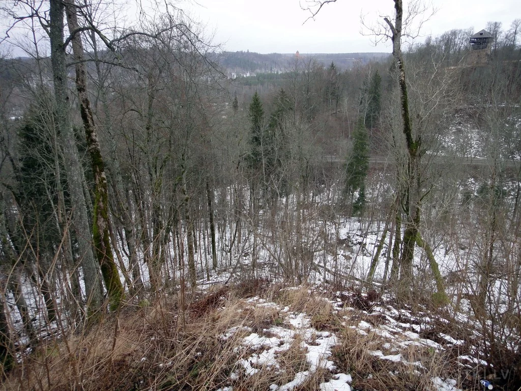 000043884203_%23_3_%23_Eduardiks.webp