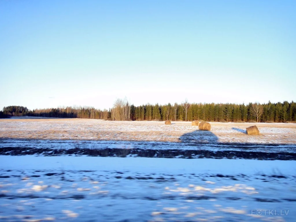 000043953625_%23_3_%23_Eduardiks.webp
