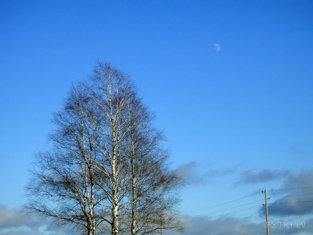 000043953629_%23_3_%23_Eduardiks.webp
