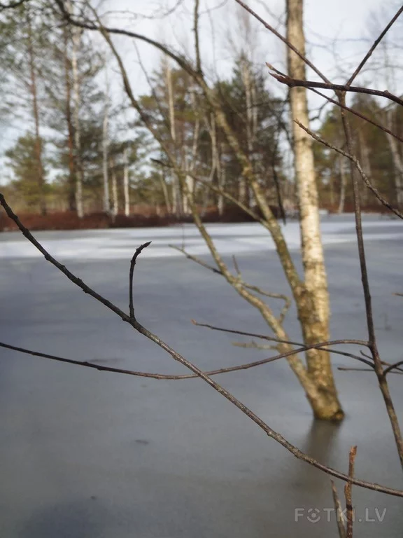 000044005801_%23_3_%23_Eduardiks.webp