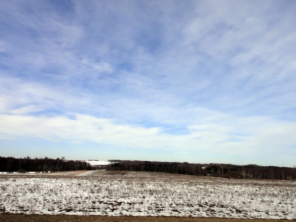 000044005806_%23_3_%23_Eduardiks.webp