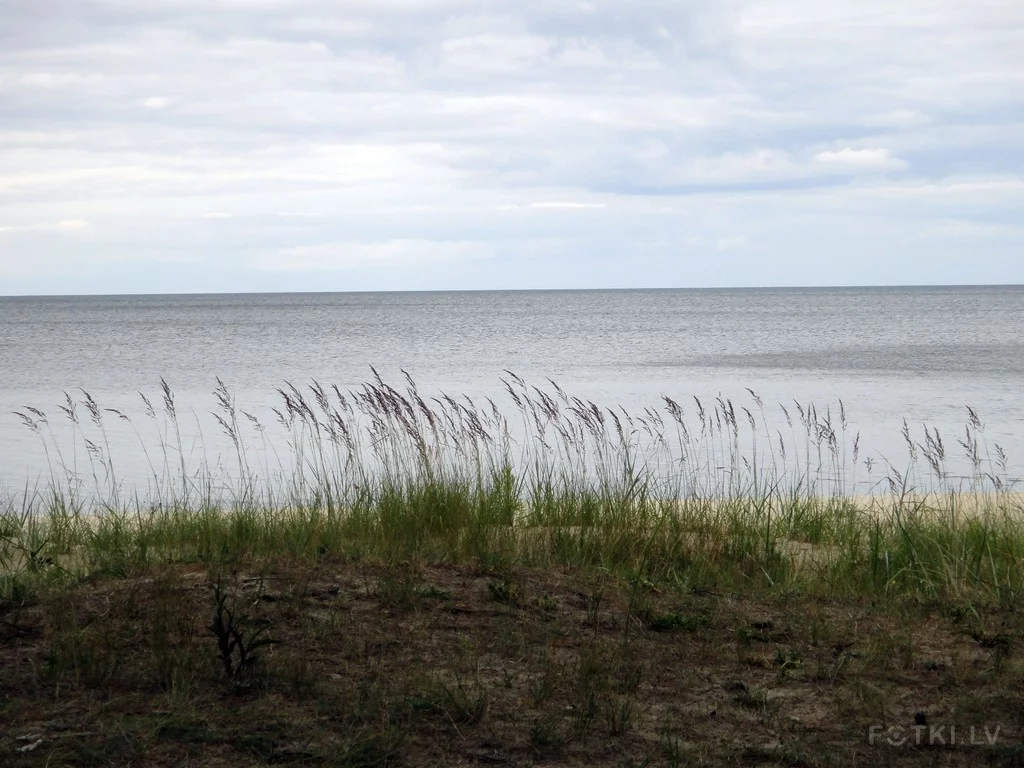 000044022167_%23_3_%23_Eduardiks.webp