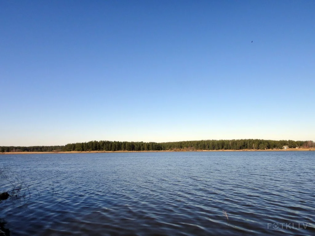000044047386_%23_3_%23_Eduardiks.webp
