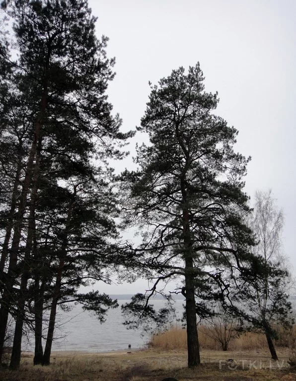 000044047404_%23_3_%23_Eduardiks.webp