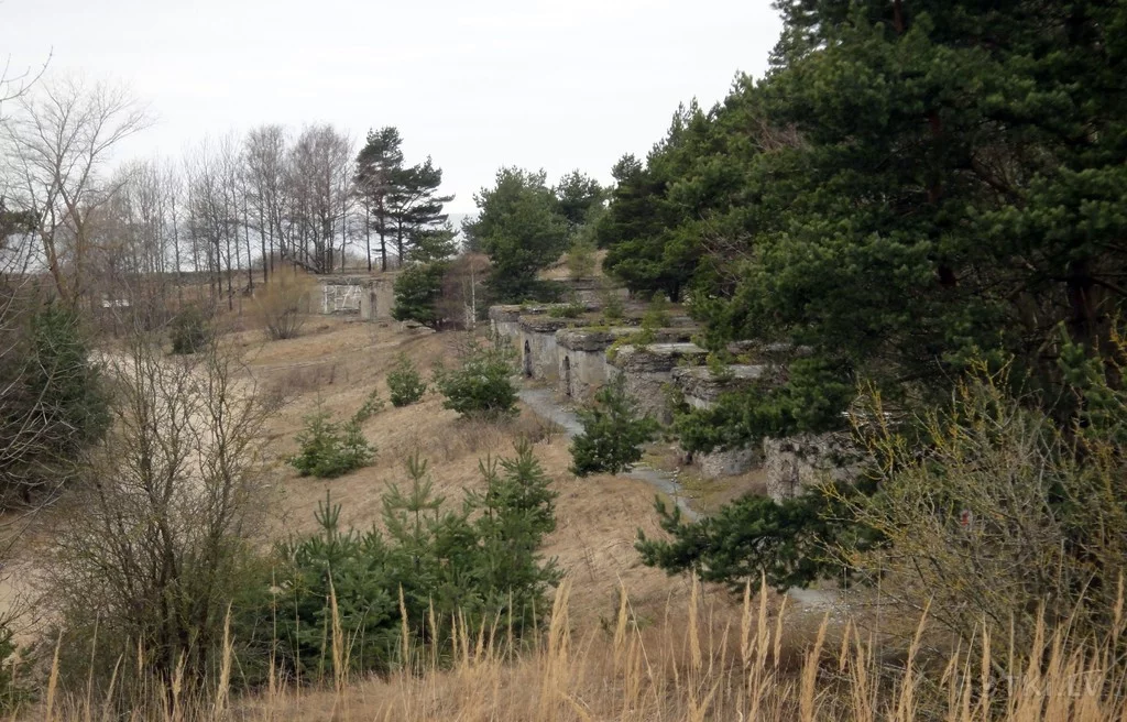 000044055449_%23_3_%23_Eduardiks.webp