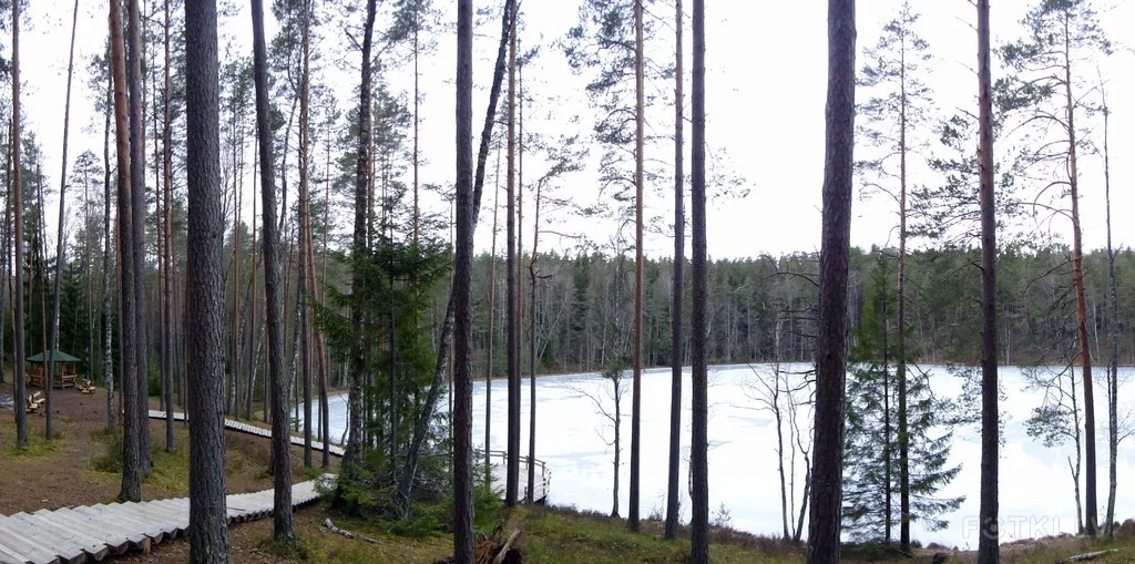 000044061850_%23_3_%23_Eduardiks.webp
