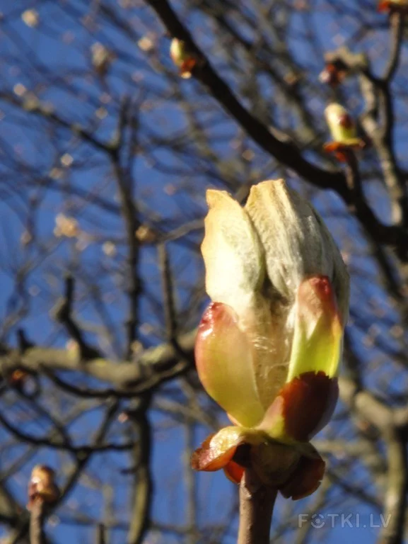 000044157634_%23_3_%23_Eduardiks.webp