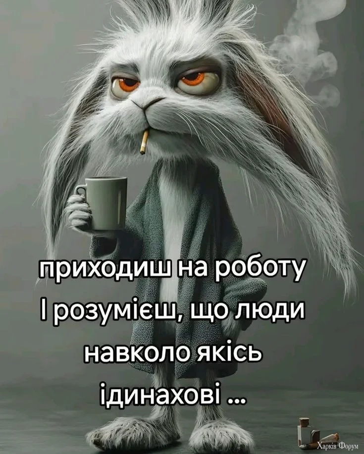 00005c9aa7c3626bd154097ecd06feeb.webp