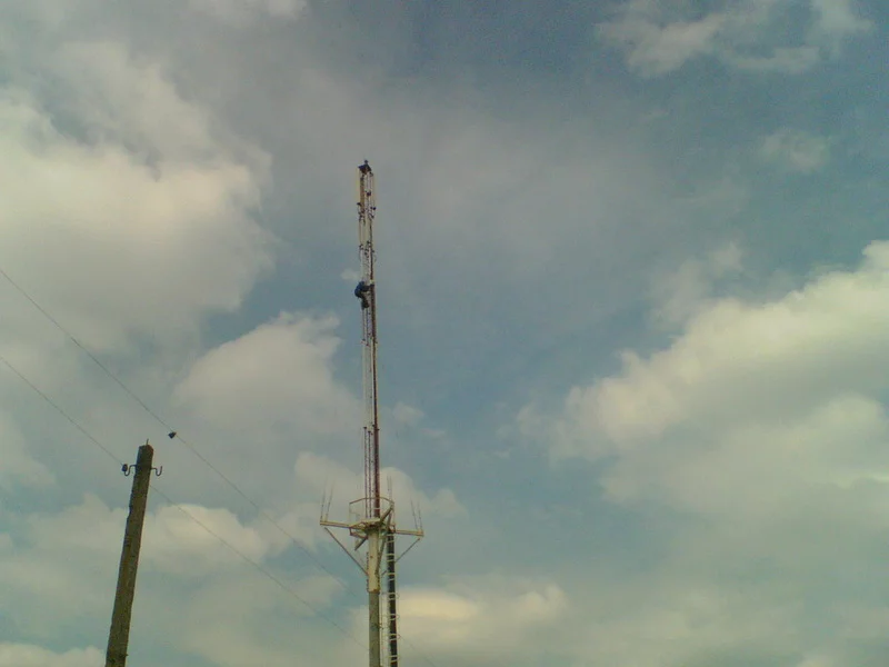 00015wf4.webp