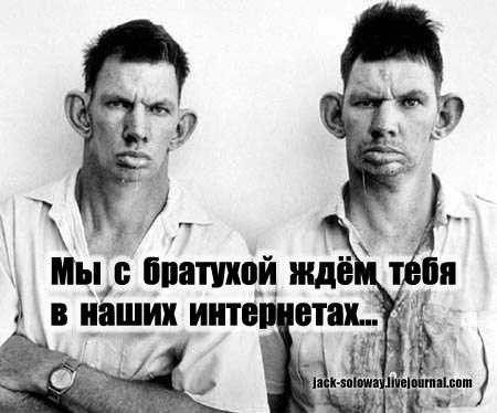 00018gwa.webp