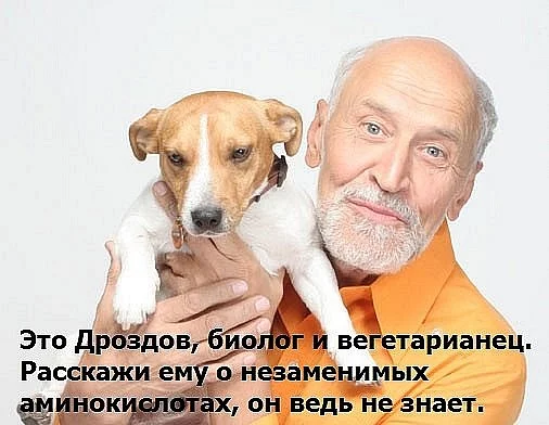 0001dd20.webp