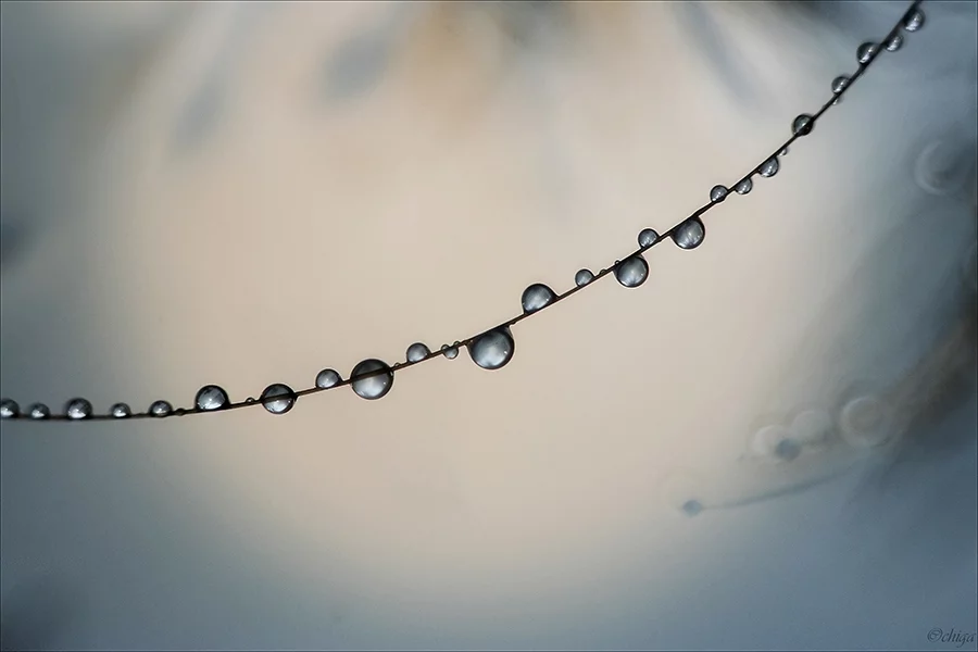 0003k6k6.webp