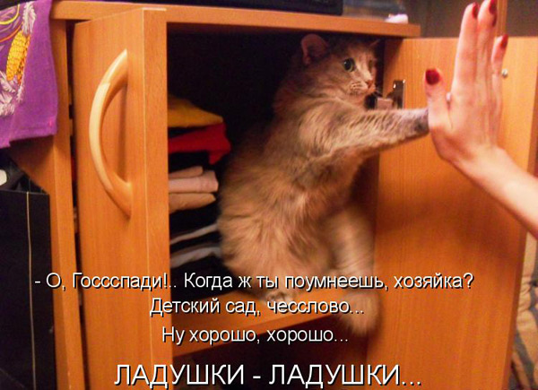 00046we5.jpg