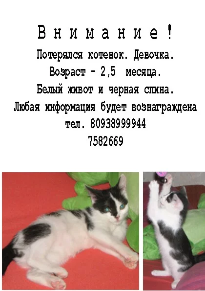 00053755.webp