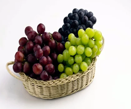 00053pqy.webp