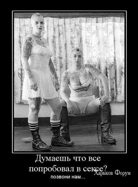 00093ec3bd268d48c41177.webp