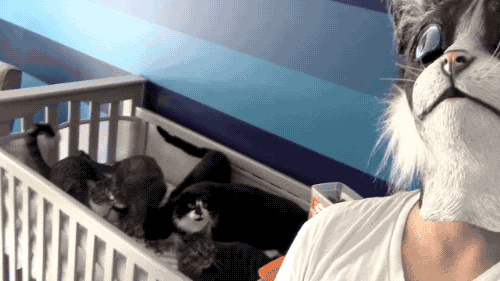 000a9efbb1.gif