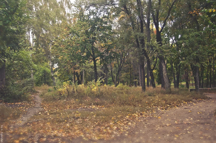 000b1463.webp
