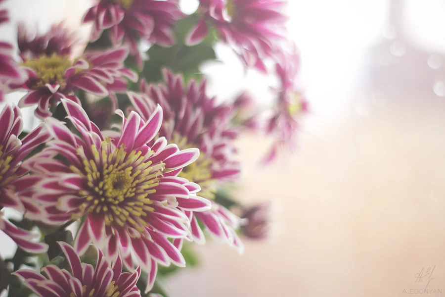 000d3z58.webp