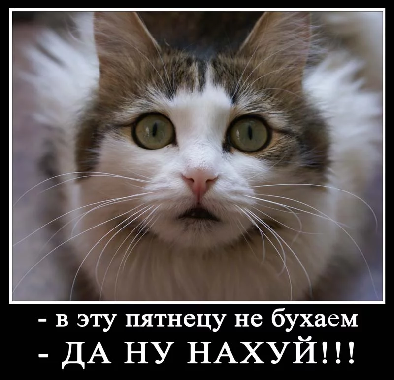 000d9171.webp