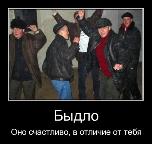 000dtga5.webp